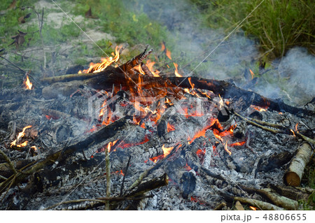 The fire is burning wood 48806655