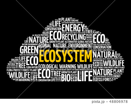 Ecosystem word cloud, conceptual background Ecosystem word cloud, conceptual background 48806978