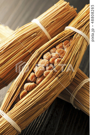 藁納豆 藁納豆 48808265