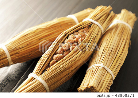 藁納豆 48808271