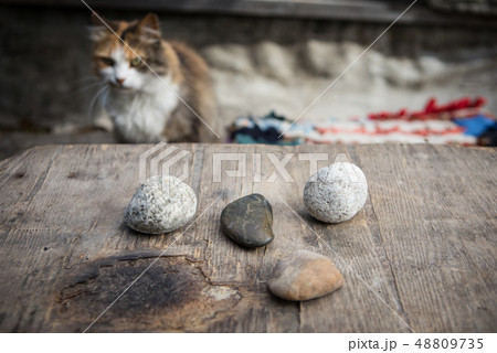 Stones for divination on a wooden table with a cat in the background 48809735
