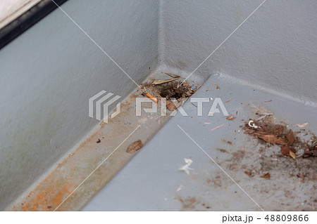 汚れたベランダ 48809866