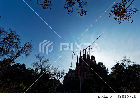 サグラダ・ファミリア 2019 サグラダ・ファミリア 2019 48810729