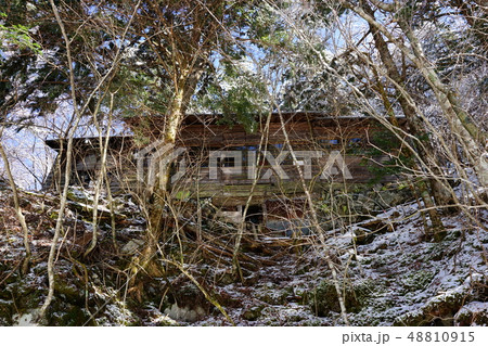 樹林帯に覆われる丹溪山荘跡 48810915