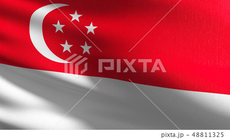 Singapore national flag blowing in the wind 48811325