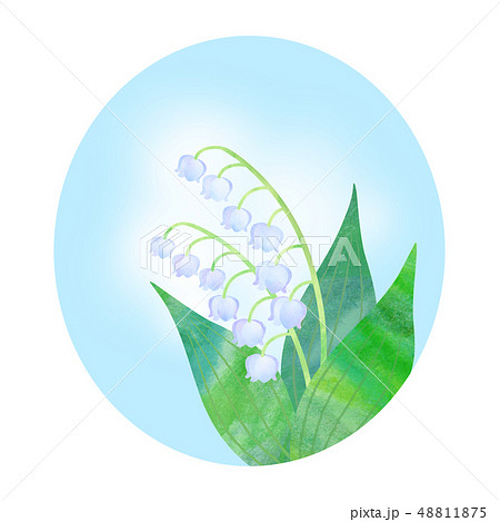 スズラン スズラン 48811875