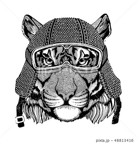 Animal wearing motorycle helmet. Image for kindergarten children clothing, kids. T-shirt, tattoo 48813416