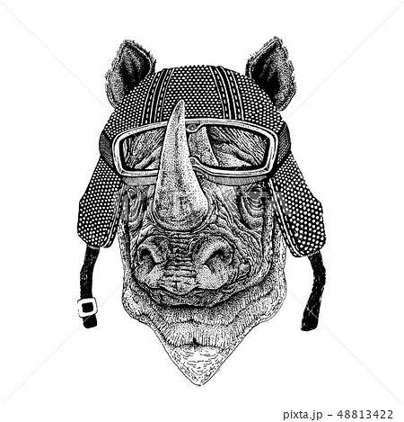 Animal wearing motorycle helmet. Image for kindergarten children clothing, kids. T-shirt, tattoo 48813422