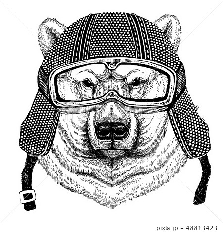 Animal wearing motorycle helmet. Image for kindergarten children clothing, kids. T-shirt, tattoo Animal wearing motorycle helmet. Image for kindergarten children clothing, kids. T-shirt, tattoo 48813423