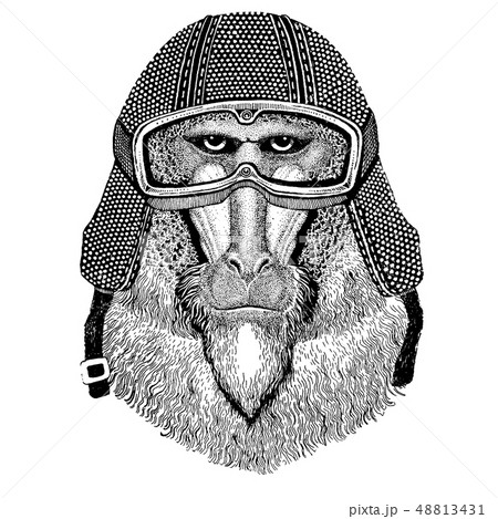 Animal wearing motorycle helmet. Image for kindergarten children clothing, kids. T-shirt, tattoo 48813431