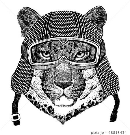 Animal wearing motorycle helmet. Image for kindergarten children clothing, kids. T-shirt, tattoo Animal wearing motorycle helmet. Image for kindergarten children clothing, kids. T-shirt, tattoo 48813434