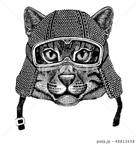 Animal wearing motorycle helmet. Image for kindergarten children clothing, kids. T-shirt, tattoo Animal wearing motorycle helmet. Image for kindergarten children clothing, kids. T-shirt, tattoo 48813438