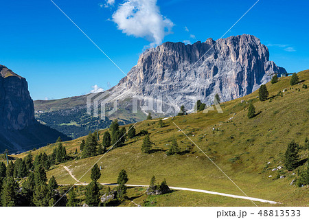 the Sassolungo - Langkofel group, valley Gardena. Dolomites, Italy the Sassolungo - Langkofel group, valley Gardena. Dolomites, Italy 48813533