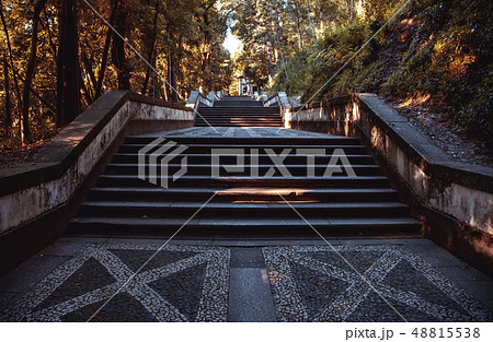 Typical stone floor of Lisbon 48815538