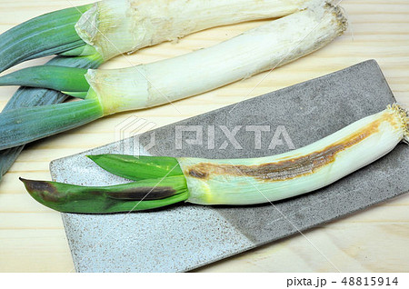 下仁田ねぎ焼き 下仁田ねぎ焼き 48815914