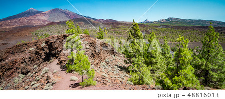 Amazing volcano on Tenerife 48816013