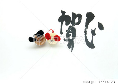 年賀状素材・子年 年賀状素材・子年 48816173