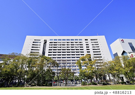 福岡市　風景　市役所 48816213