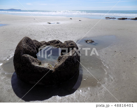 モエラキの奇石のプール 48816401