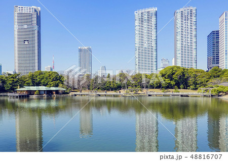 池に映る高層ビル群 48816707