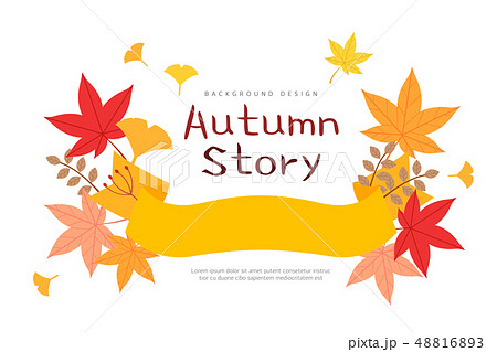 葉 木の葉 秋 48816893