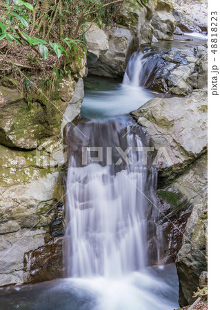 【河津七滝　えび滝】 48818223