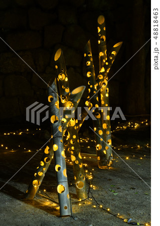 広島県福山城のあかり祭り 48818463