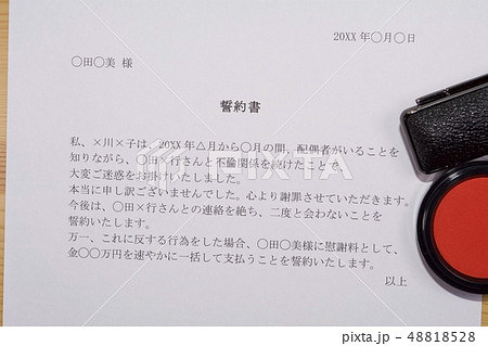 誓約書（浮気・不倫相手） 48818528