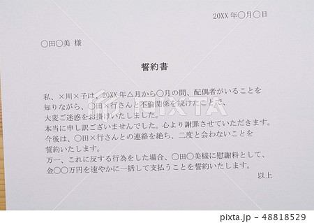 誓約書（浮気・不倫相手） 48818529
