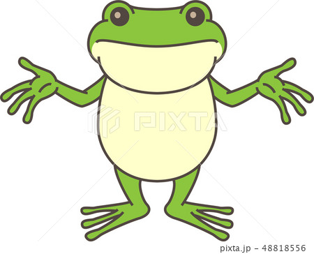 カエルお手上げ 48818556