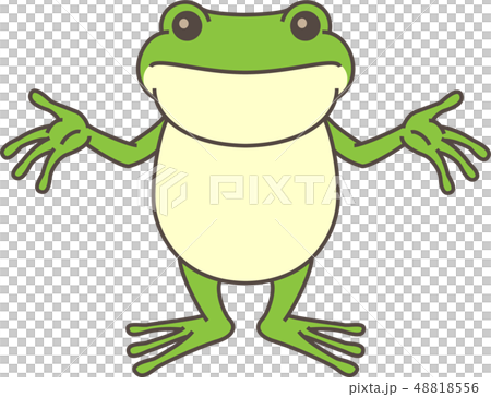 青蛙手舉起 48818556