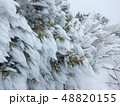霧氷 48820155