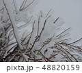 霧氷 48820159