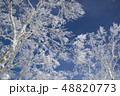 栂池の山中から空の臨む 48820773