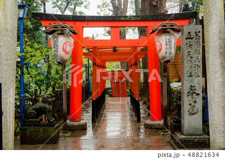 千本鳥居 上野花園稲荷神社 雨の中上野恩賜公園花見 の写真素材