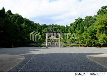 武蔵陵墓地 48821688