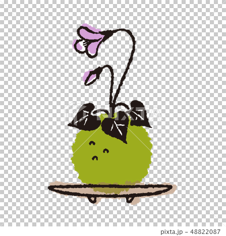 盆栽　苔玉　スミレ　イラスト 48822087