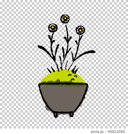 盆栽　花　ハルジオン　イラスト 48822088
