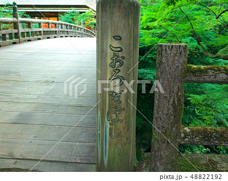 こおろぎばし 48822192