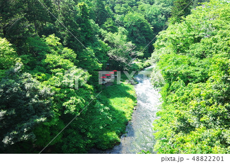鶴仙渓川床(上から) 鶴仙渓川床(上から) 48822201