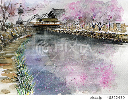 春の水郷巡り　スケッチ画　花筏　花いかだ 48822430