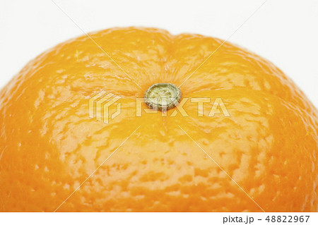 ネーブルオレンジ 48822967