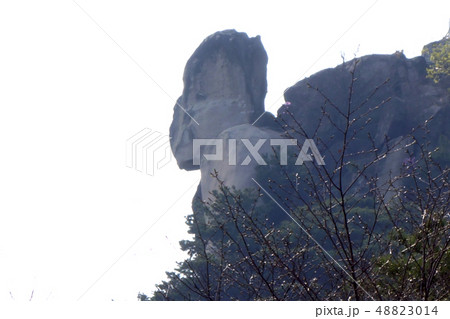 仁王山 岩山 石 48823014