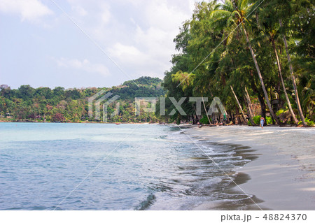 Tourist walk see the panorama of white sand beach. 48824370