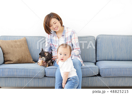 ファミリー　愛犬　室内犬 48825215