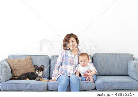 ファミリー 愛犬 室内犬 ファミリー 愛犬 室内犬 48825217