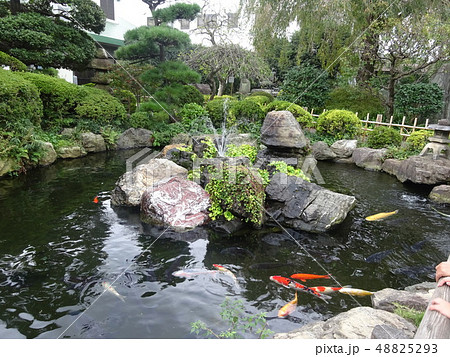 噴水付き庭園 48825293