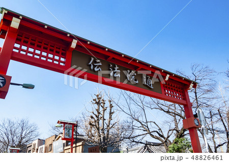 【東京都】浅草寺 伝法院通り 【東京都】浅草寺 伝法院通り 48826461