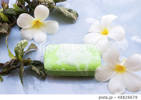 herbal soap with soapsuds for body skin  48826679