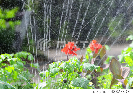 散水 48827333